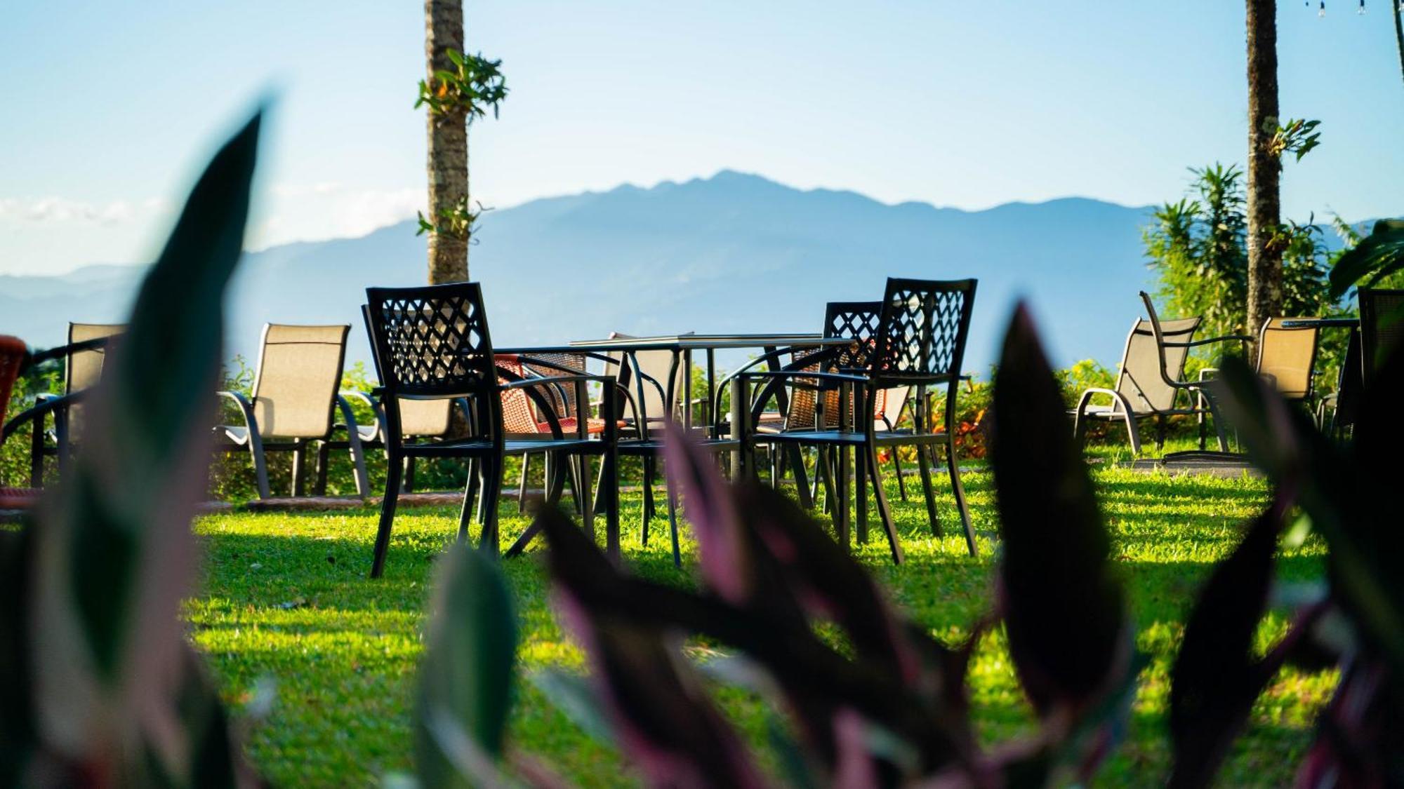 Buena Vista Chic Hotel Pilas Dış mekan fotoğraf